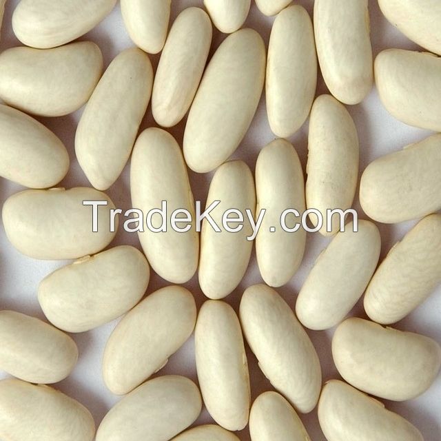 High Quality Dried Lima Beans