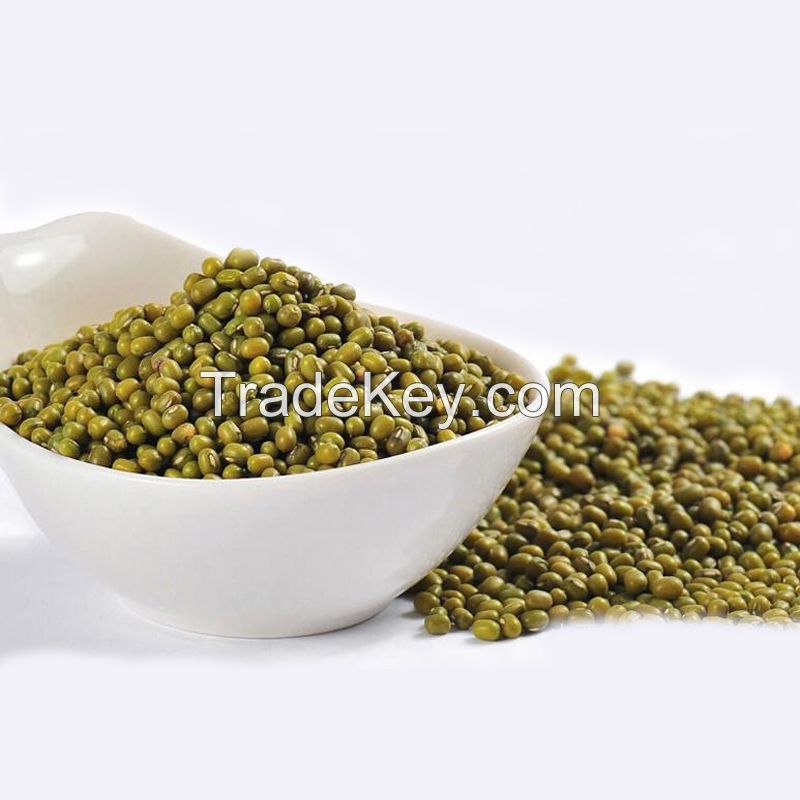 New Crop Common Cultivation Sprouting Green Mung Beans