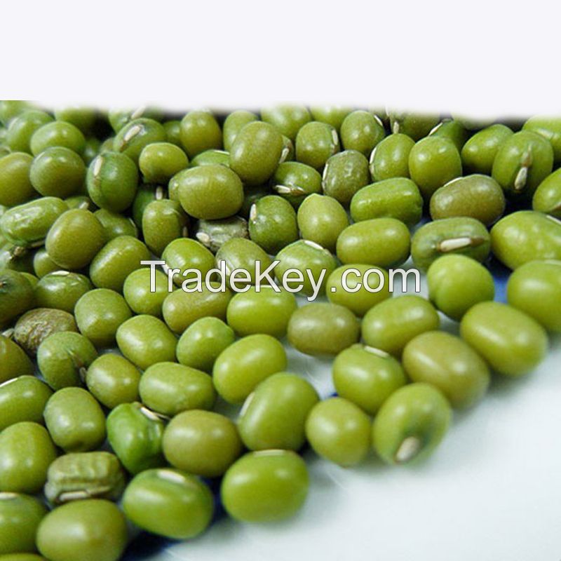 New Crop Common Cultivation Sprouting Green Mung Beans