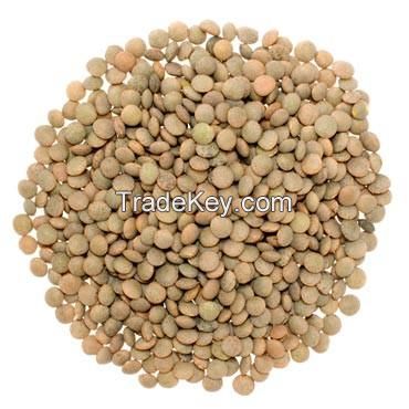 Premium Dry Green, Red, Black and Brown Lentils