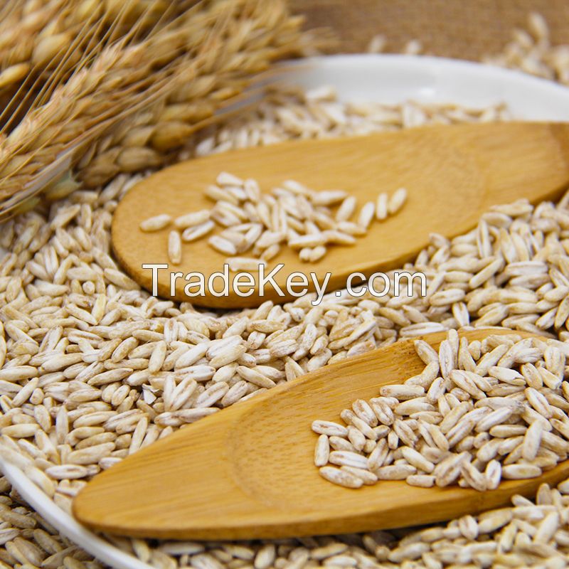 Premium Top Quality Rolled Oats