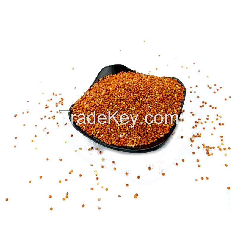 Premium Quality Dried Millet ,Hulled Red Millet,Yellow White Millet