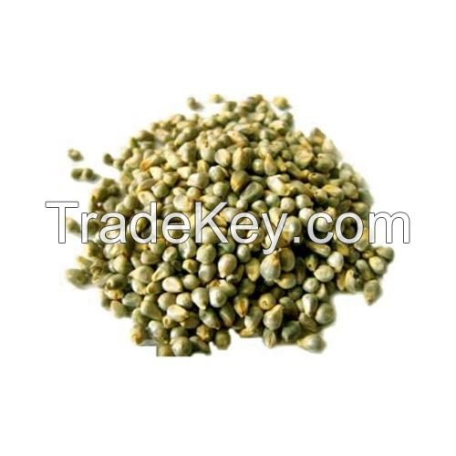 Top Quality Green millet/ Yellow millet/Red millet For Sale