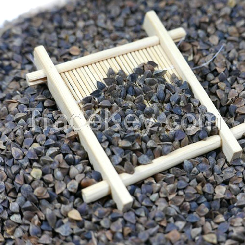 High quality raw buckwheat/roasted buckwheat at factory price