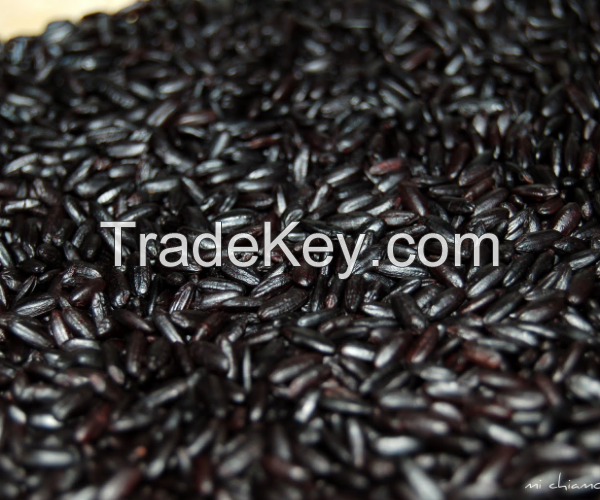 2019 Organic bulk Black Rice wholesale!