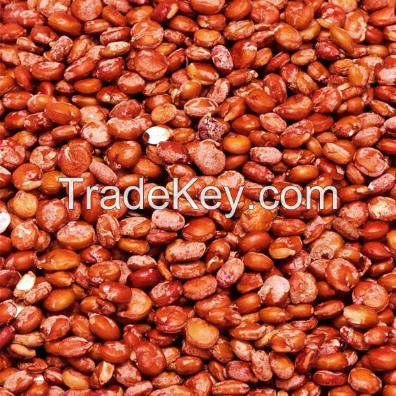 2019 crop High Protein Organic Quinoa For Export