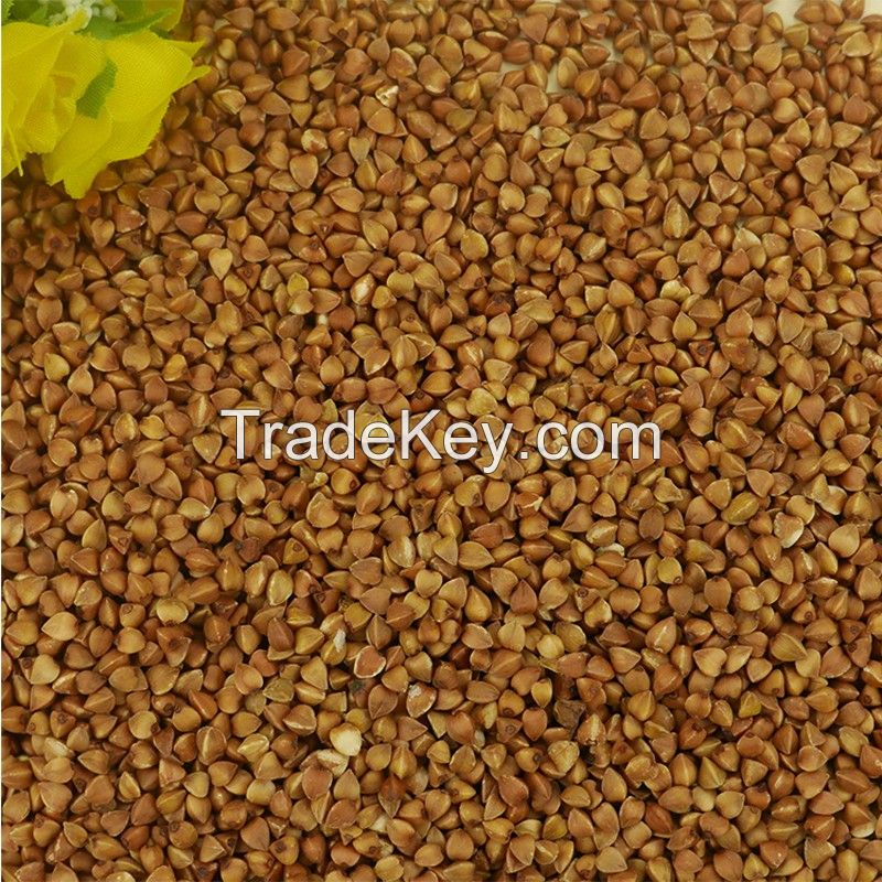 High Quality Sweet/Bitter Buckwheat