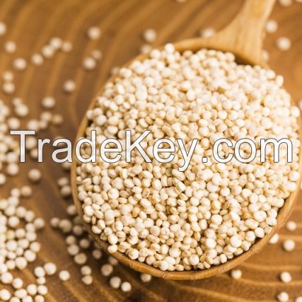 2019 crop High Protein Organic Quinoa For Export