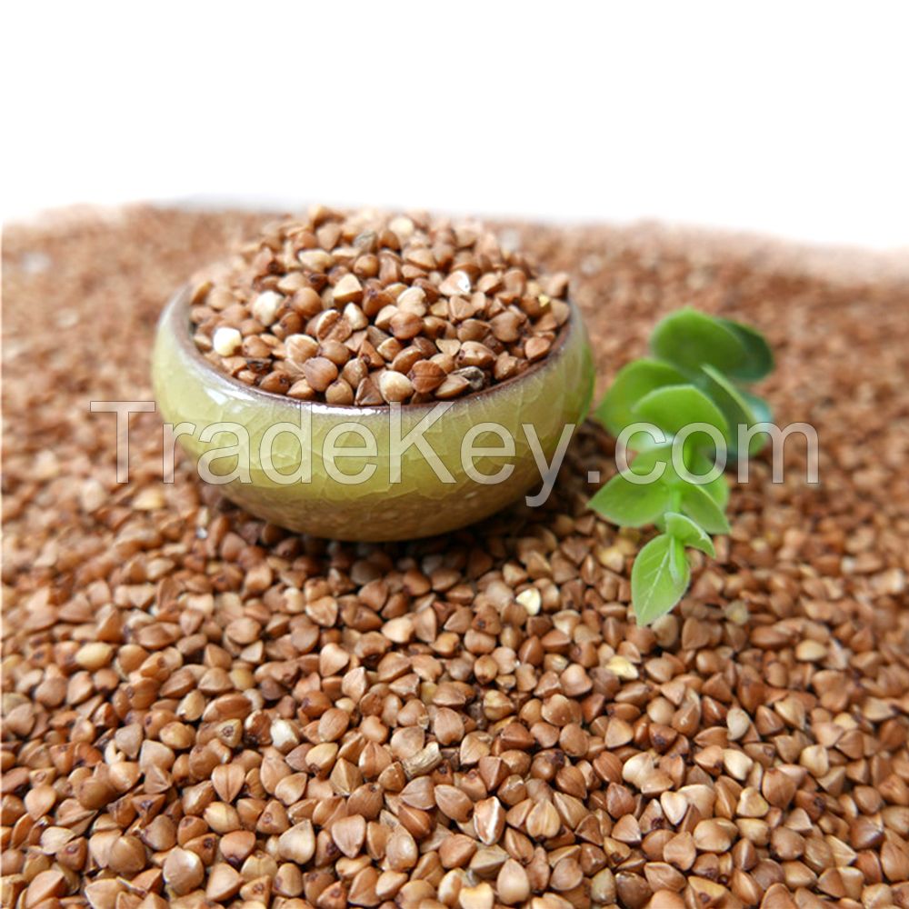 Best Quality Organic Hulled Buckwheat