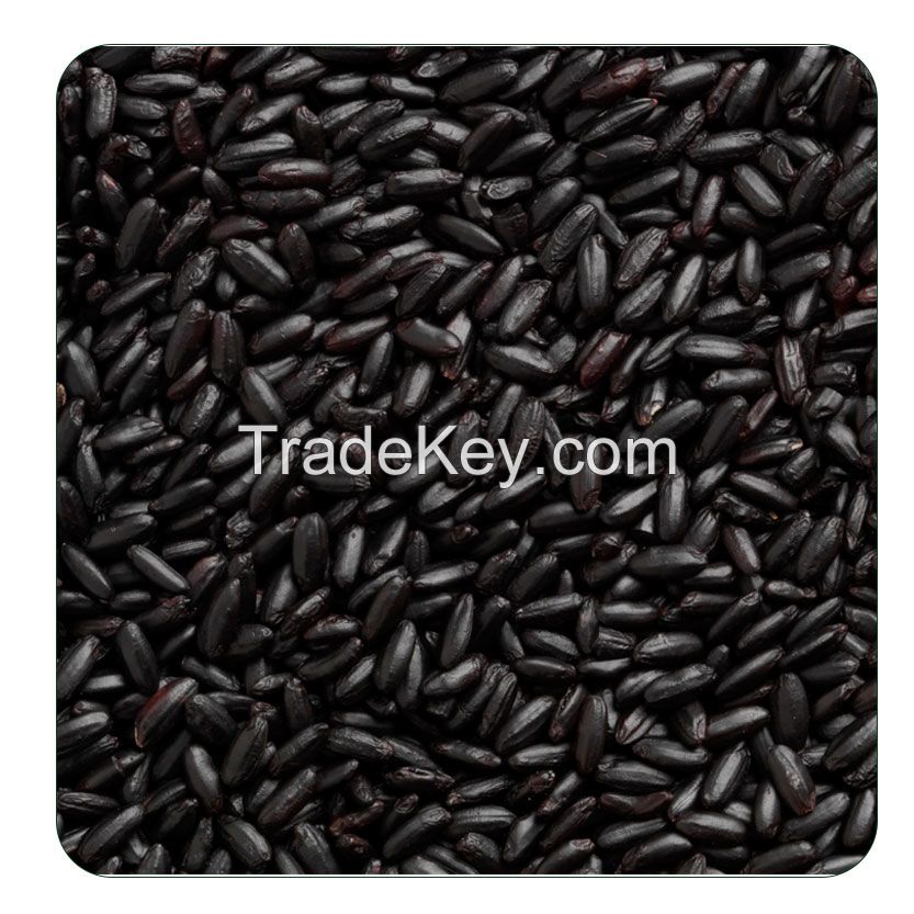 2019 Organic bulk Black Rice wholesale!