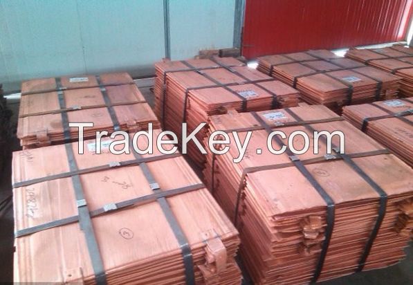 Copper Cathode 99.9% LME Registered 