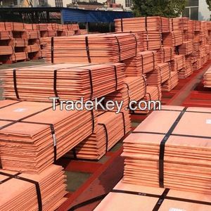 Copper Cathode 99.9% LME Registered