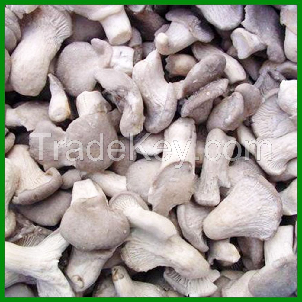 factory price raw oyster mushroom whole