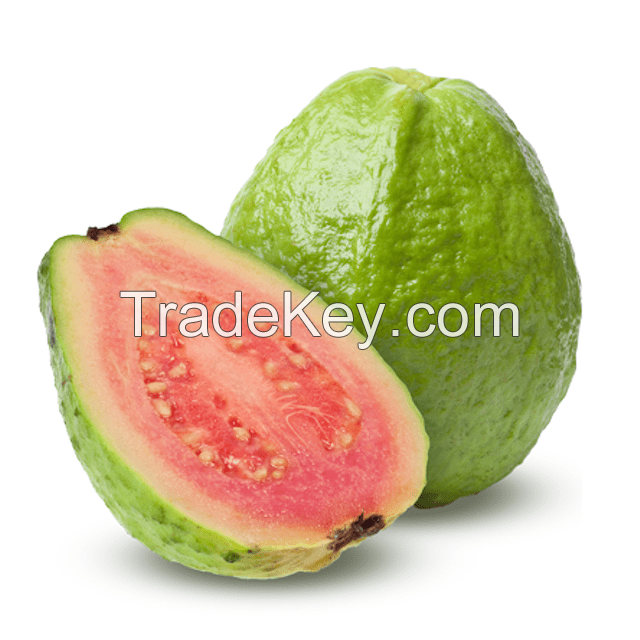 Fresh Fruits Guava Supplier / Exporter
