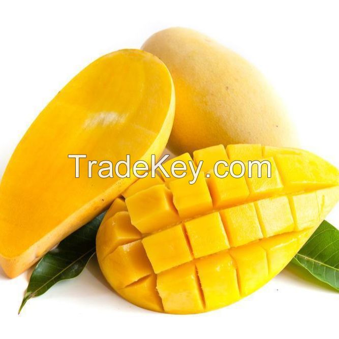 Premium Quality Fresh Alphonso Mango Fruit from Thailand