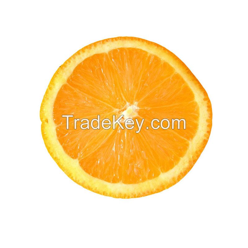 Premium fresh navel oranges 