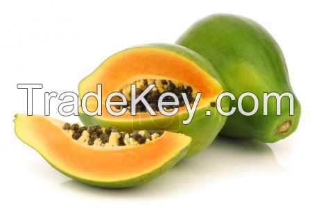 Premium Grade Fresh Papaya
