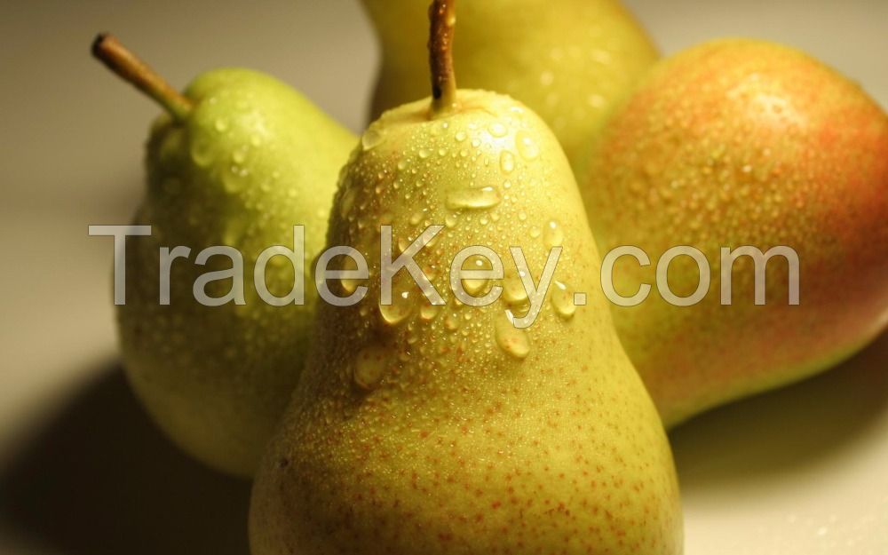 Fresh Pear . Bulk Pear , Green fresh Pear