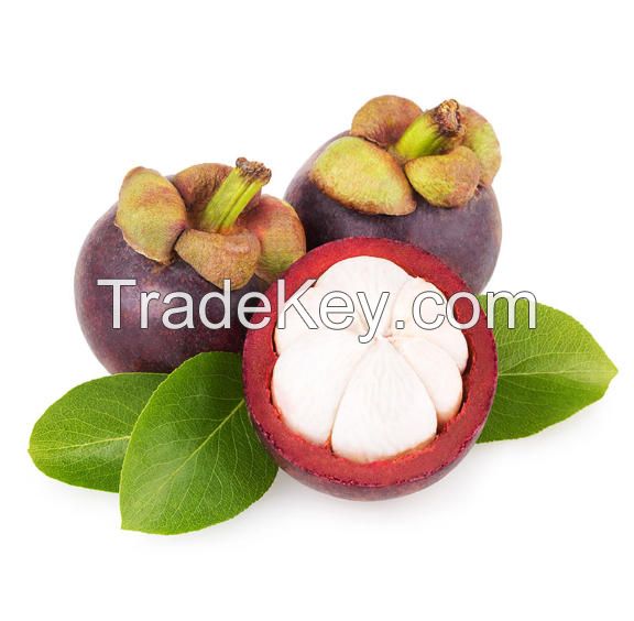 High Quality Thai Fresh Fruit Mangosteen