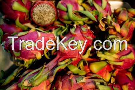 Quality Fresh Dragon fruit, Red and White Dragon fruit Supplier