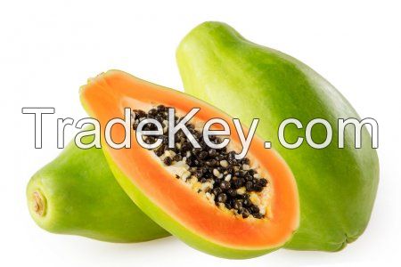 Premium Grade Fresh Papaya