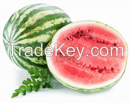 Fresh water melon