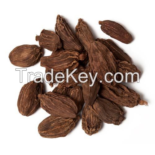 Natural fresh cardamom