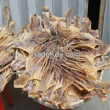 Best quality dried octopus, dried squid from Thailand