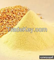 high quality wholesale GMO-free maize flour yellow corn flour