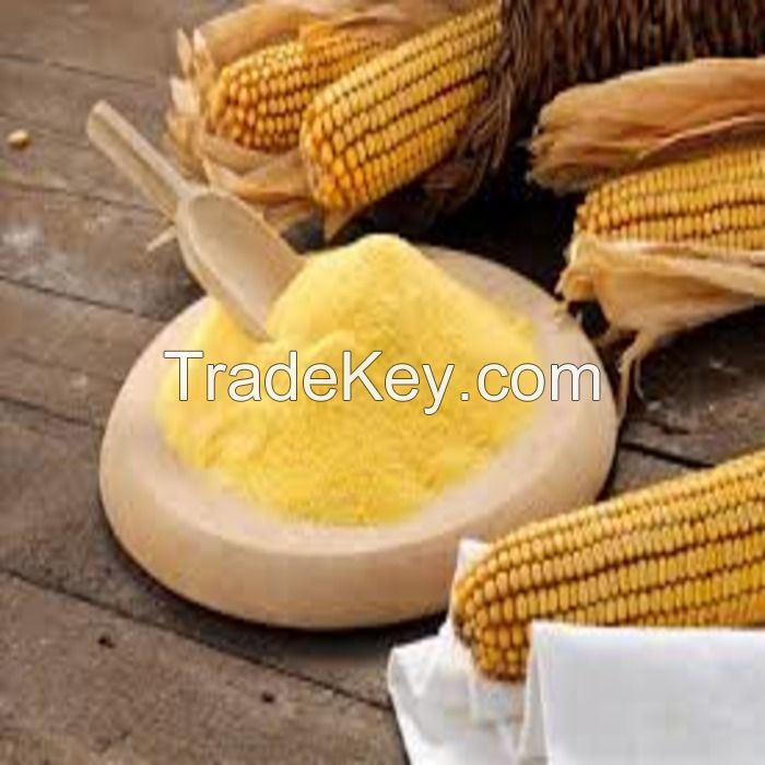 high quality wholesale GMO-free maize flour yellow corn flour
