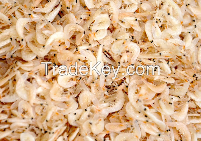 DRIED/Fresh/Frozen BABY KRILL/SA;LTED SMALL SHIRMP/ KRILL/ CRUSTACEANS