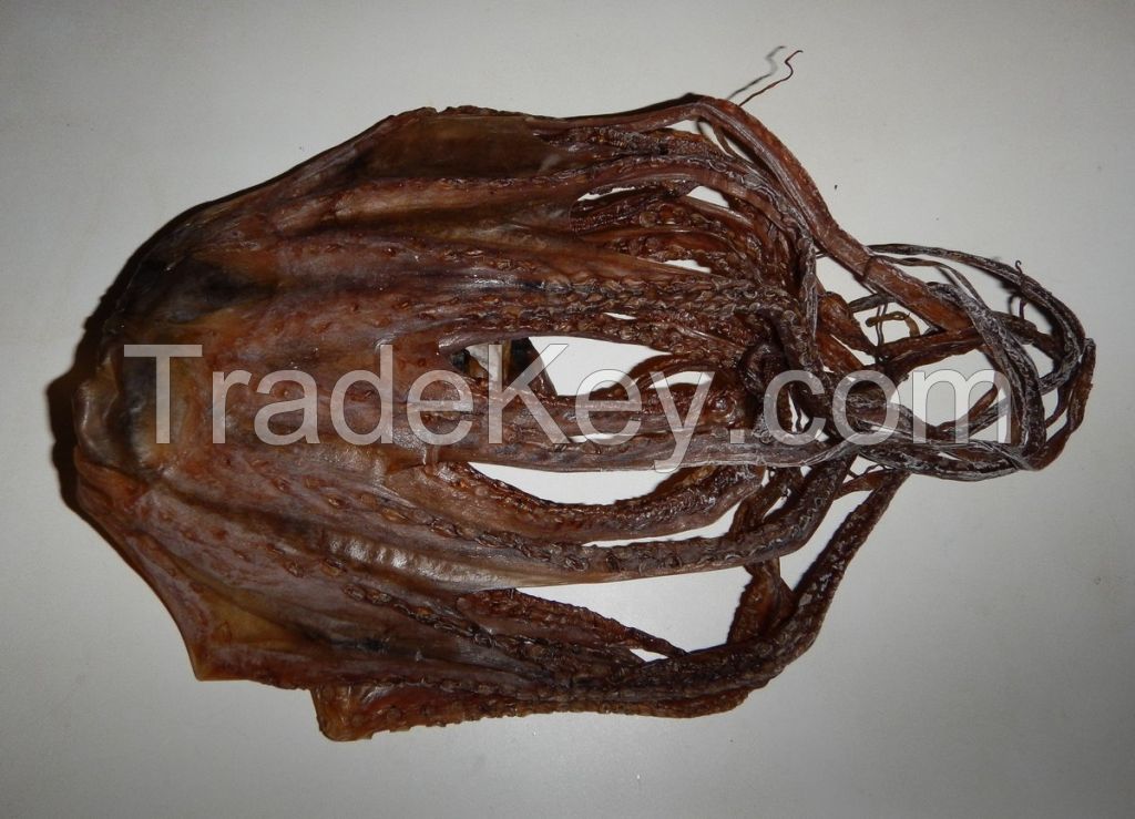 Best quality dried octopus, dried squid from Thailand