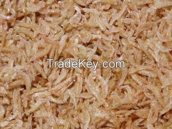 DRIED/Fresh/Frozen BABY KRILL/SA;LTED SMALL SHIRMP/ KRILL/ CRUSTACEANS