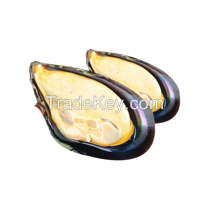 Certified seafood shellfish frozen half shell mussel