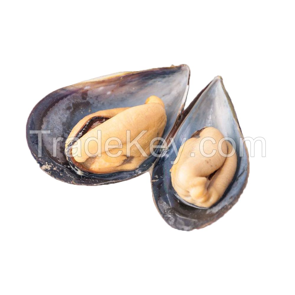 Certified seafood shellfish frozen half shell mussel