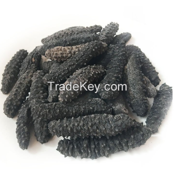 Natural Dried Prickly Sea Cucumber in Different Sizes From Thailand