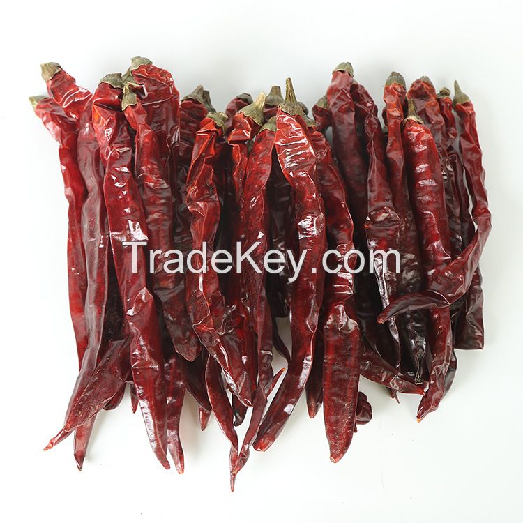 Dried Hot Red Chili Pepper