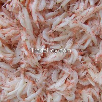 DRIED/Fresh/Frozen BABY KRILL/SA;LTED SMALL SHIRMP/ KRILL/ CRUSTACEANS