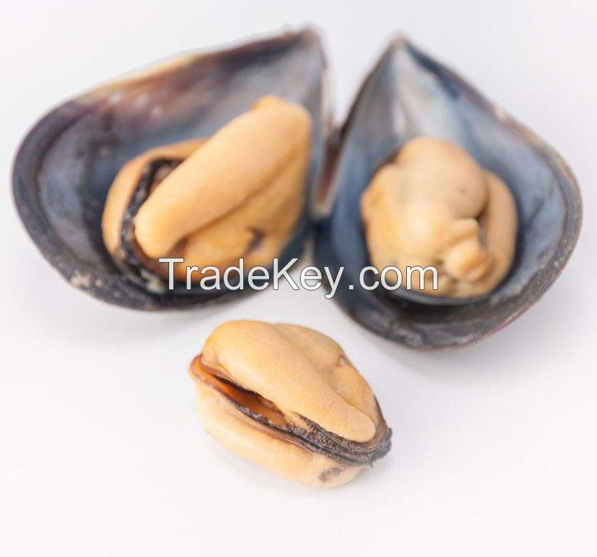 Certified seafood shellfish frozen half shell mussel