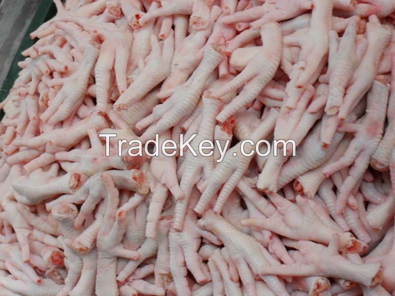 Clean Halal Chicken Feet / Frozen Chicken Paws Brazil / Fresh chicken wings and foot for sale 