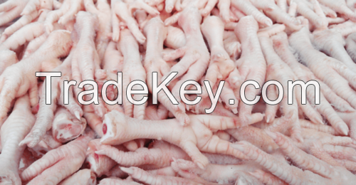 Best Grade Brazil Halal Frozen Chicken Feet / Halal Frozen Chicken Paws for export 