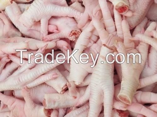 Halal Frozen Chicken Feet And Chicken Paws From thailand  (SIF Plant)