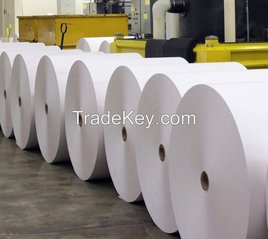 Food Grade White PE Coated Kraft Paper Roll 40 gsm 