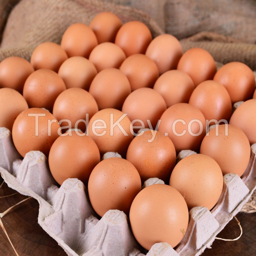 fresh brown eggs 