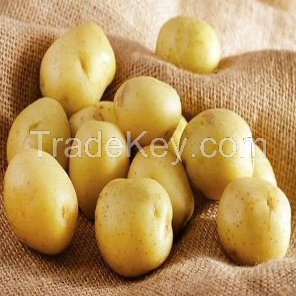 Certified GAP Types of Potatoes,