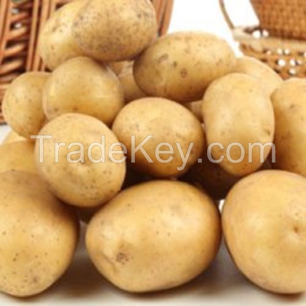 2019 new crop fresh potato from Thailand