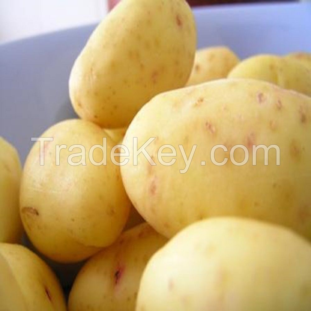 delicious fresh potato thailand 