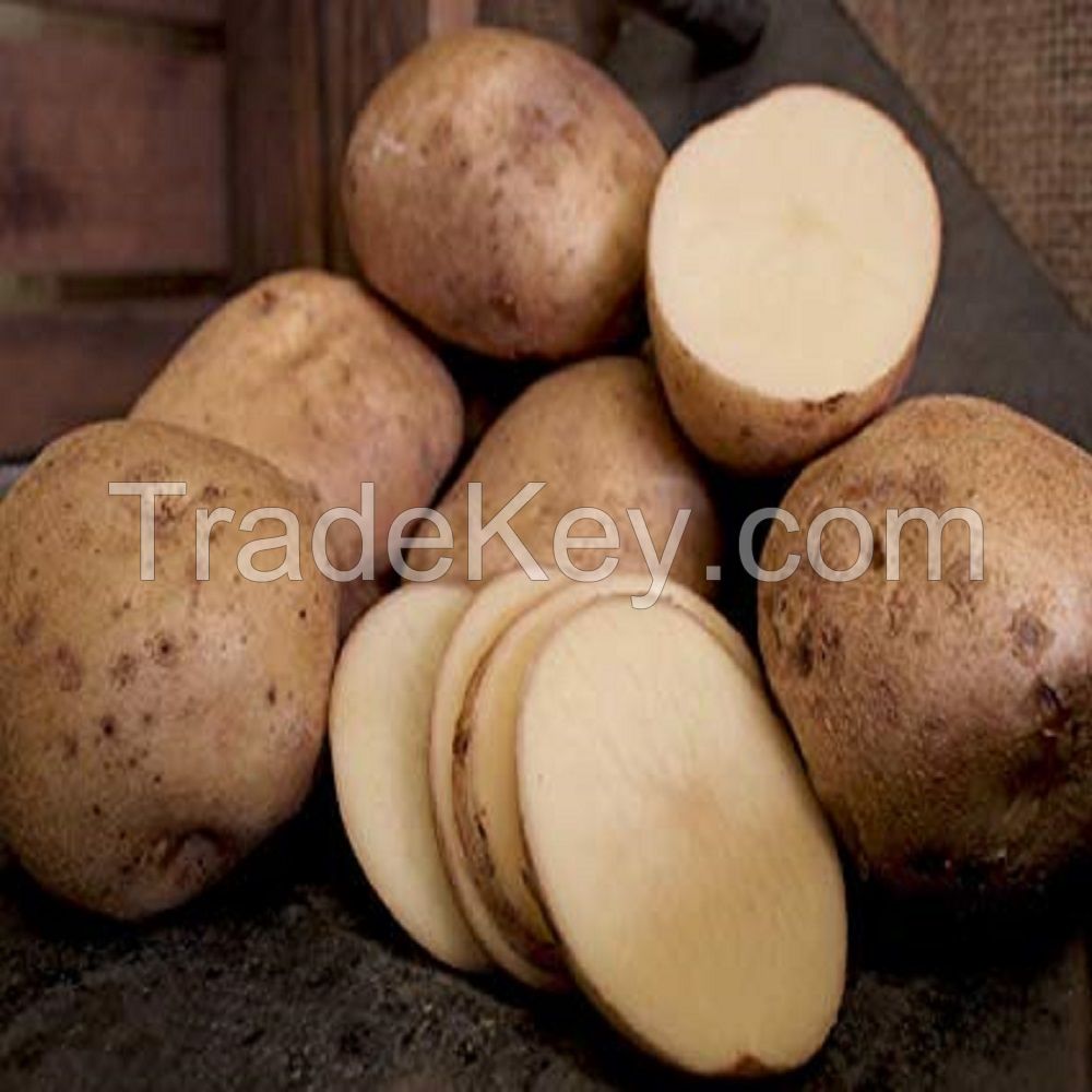 2019 new crop fresh potato from Thailand