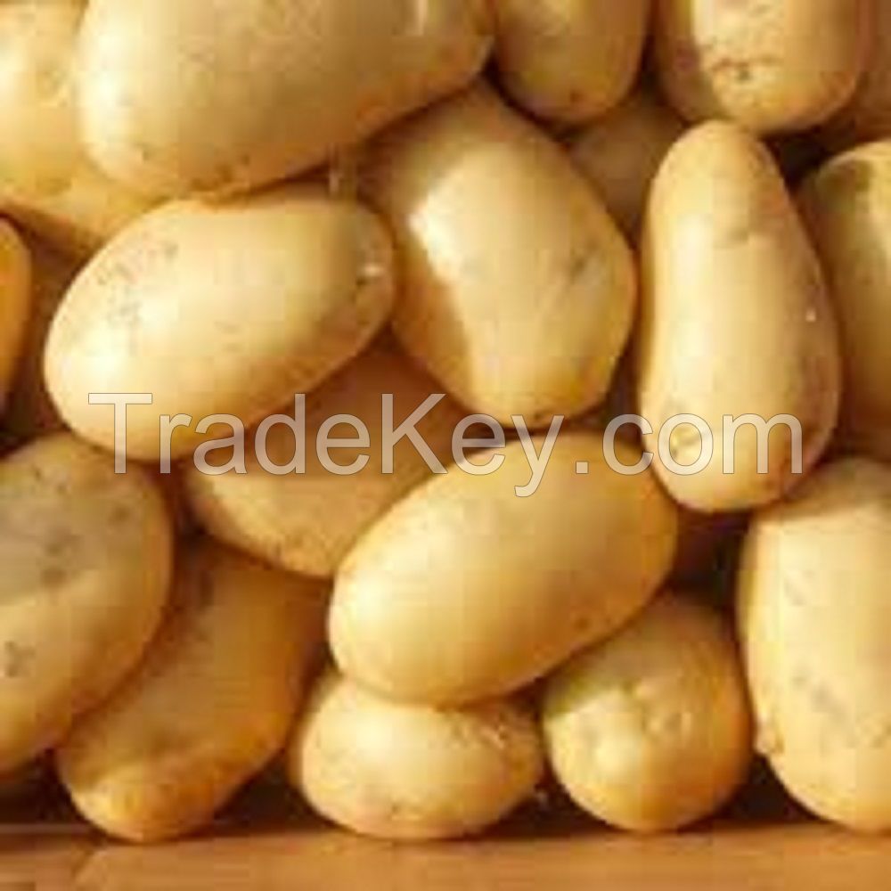 Certified GAP Types of Potatoes for Thai