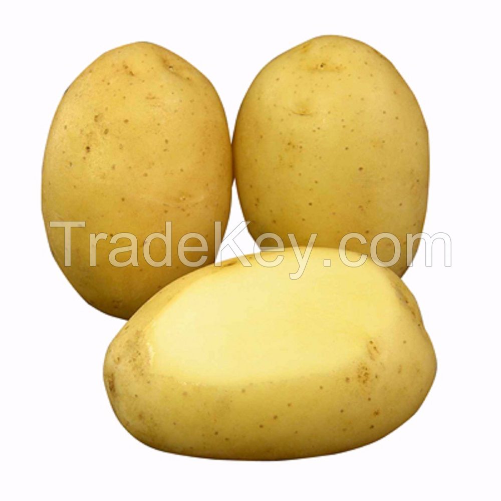 High quality Fresh Potatoes,